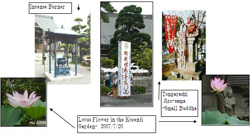 Explanatory yard in the Kozen-ji